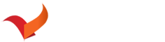 YoungSpiders